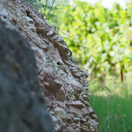 مزرعة للإقامة Azienda Agricola Ca' Lunga
